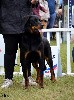  - Uzo et Uvaï  champion jeune de France 2024 (en cours d'homologation) 