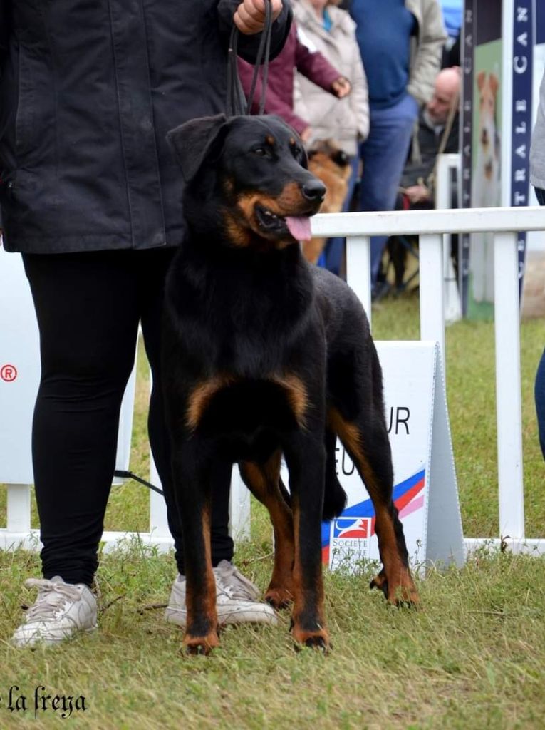 Uzo et Uvaï  champion jeune de France 2024 (en cours d'homologation) 