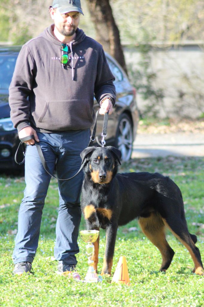 Journée beauceronne et régionale d'élevage brens (81)